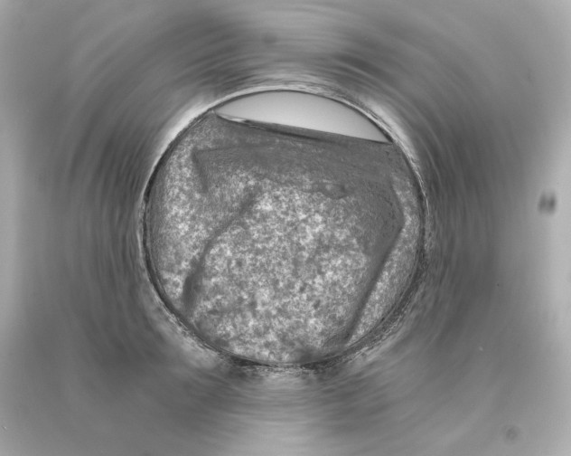 X0000093100899200710241219