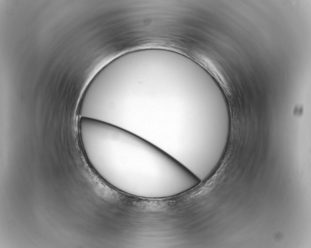 X0000093100900200710241219