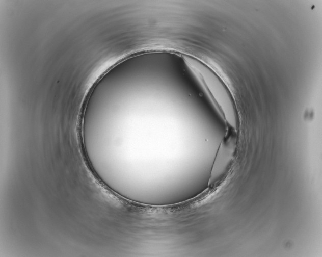 X0000093100901200710241219