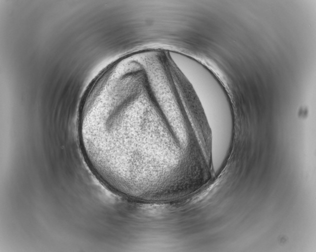 X0000093100902200710241219