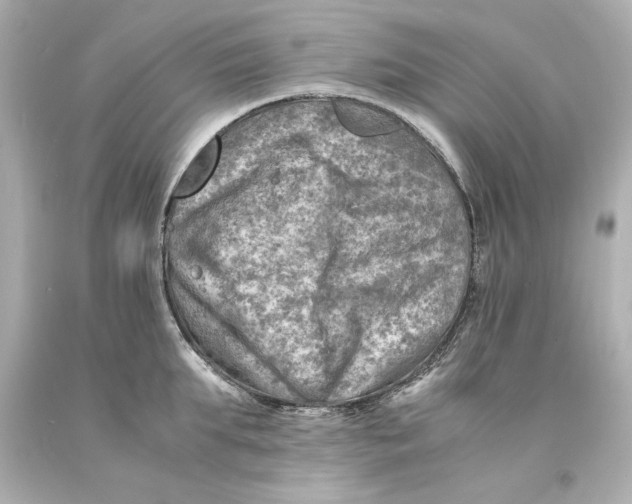 X0000093100903200710241219