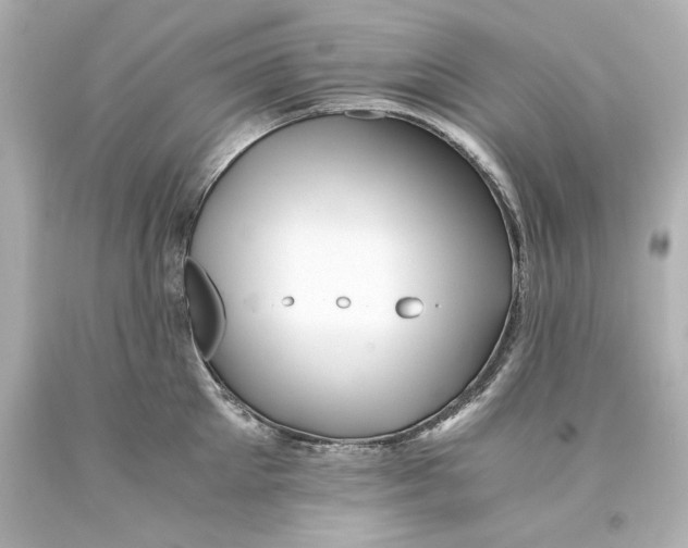 X0000093100905200710241218