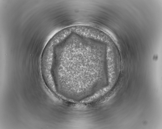 X0000093100907200710241218