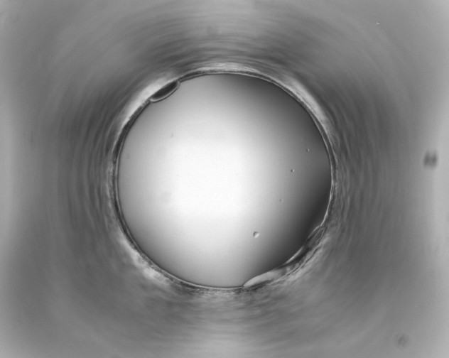 X0000093100909200710241218