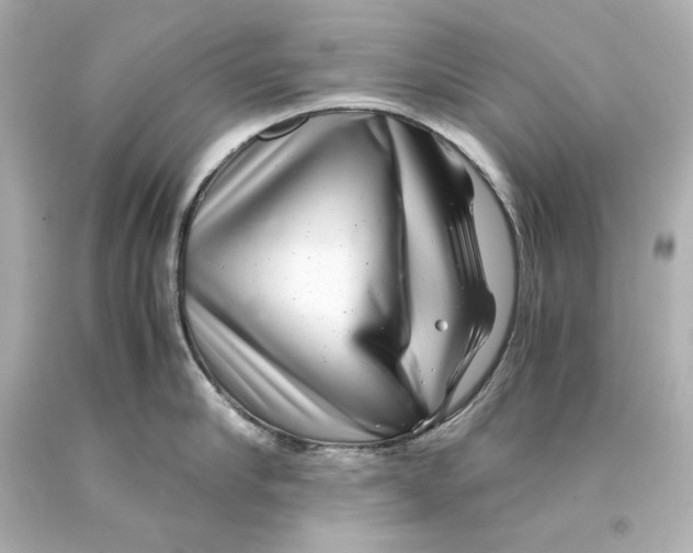 X0000093100910200710241218