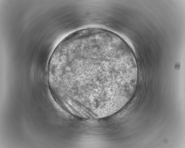 X0000093100911200710241218