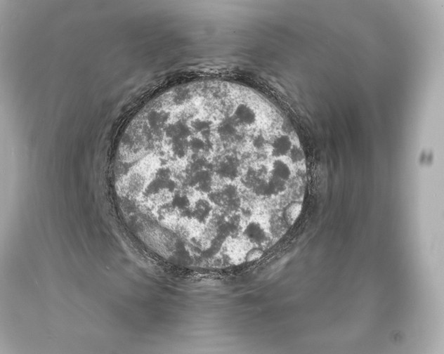 X0000093100913200710241218