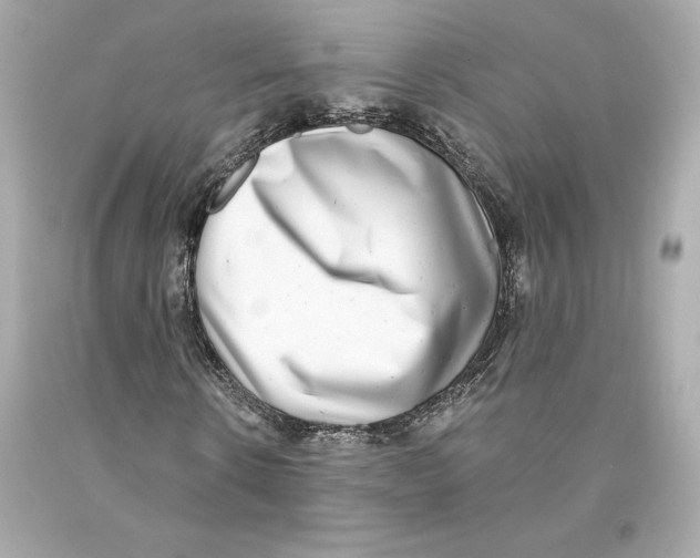 X0000093100914200710241218