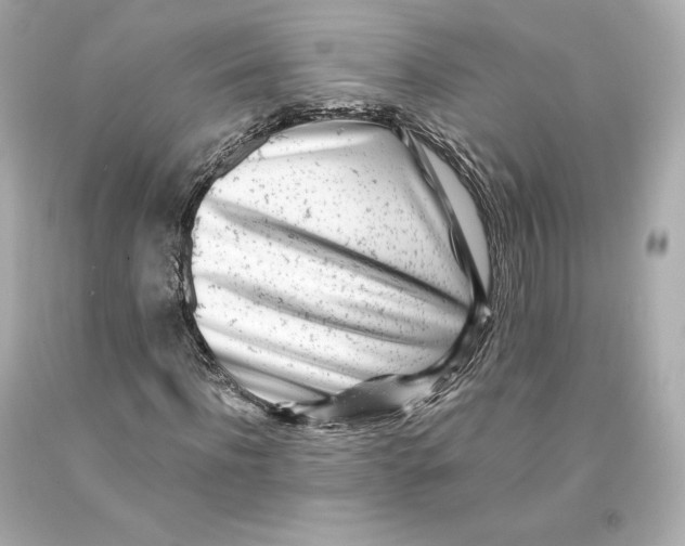 X0000093100916200710241218