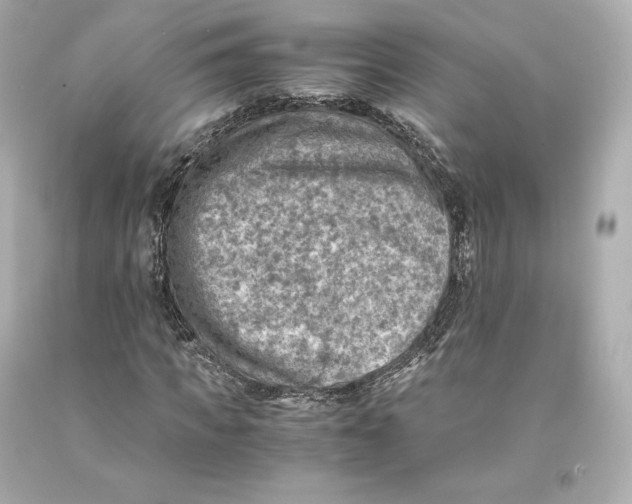 X0000093100917200710241218
