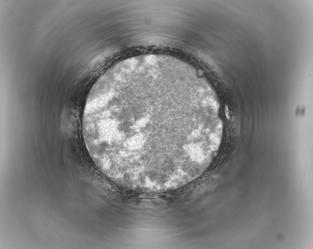 X0000093100918200710241218