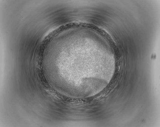 X0000093100919200710241218