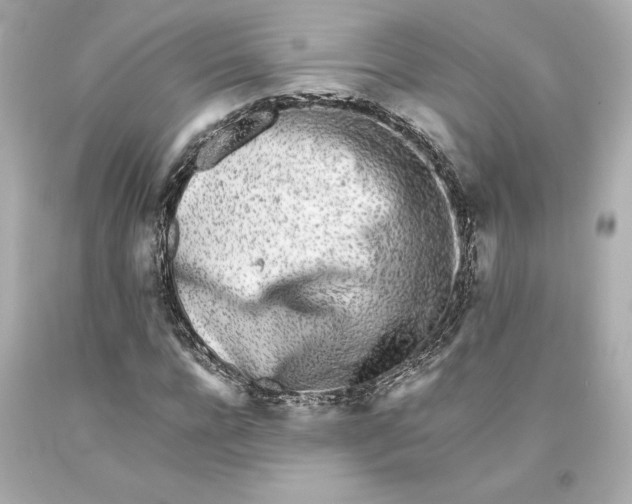 X0000093100920200710241218