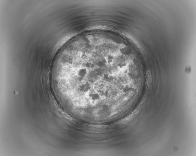 X0000093100921200710241218
