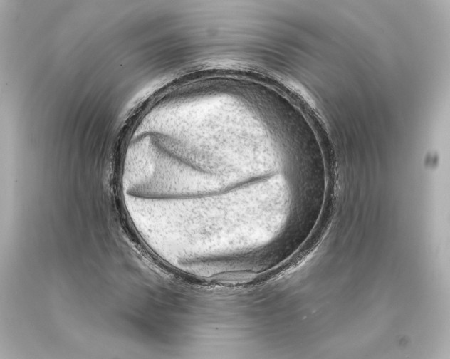 X0000093100922200710241218