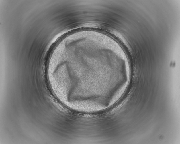 X0000093100923200710241218