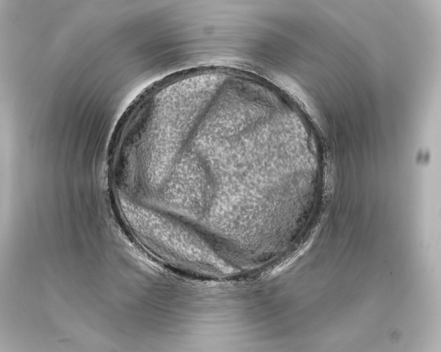 X0000093100924200710241218