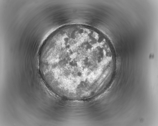 X0000093100925200710241218
