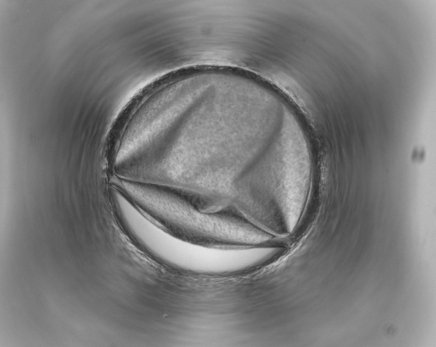 X0000093100926200710241218