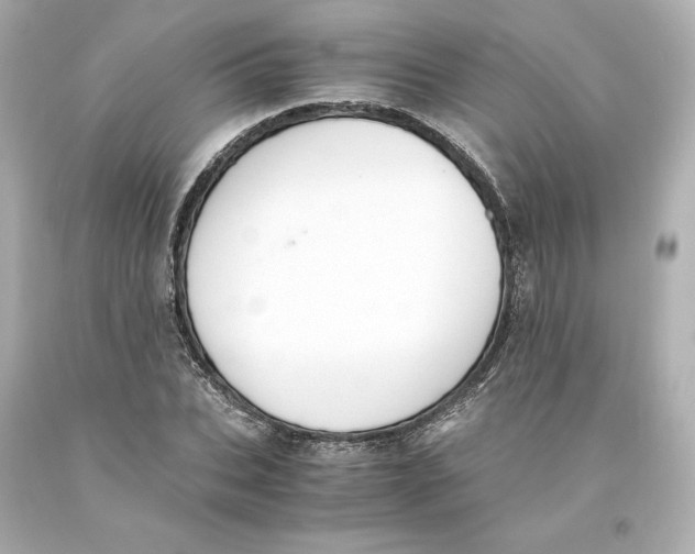 X0000093100927200710241218