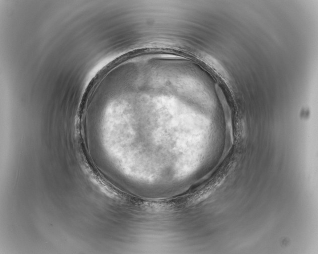 X0000093100928200710241218
