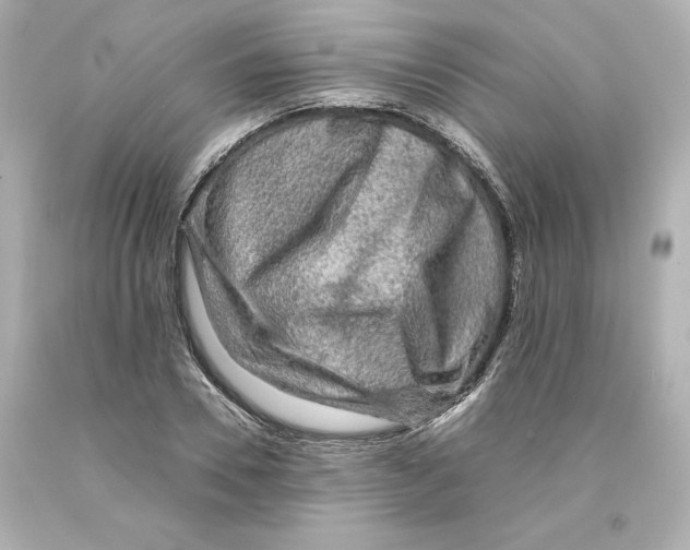 X0000093100930200710241218