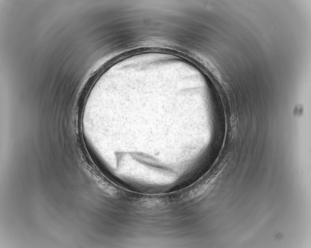X0000093100931200710241218