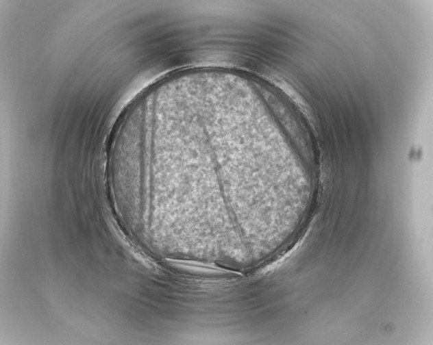 X0000093100933200710241218