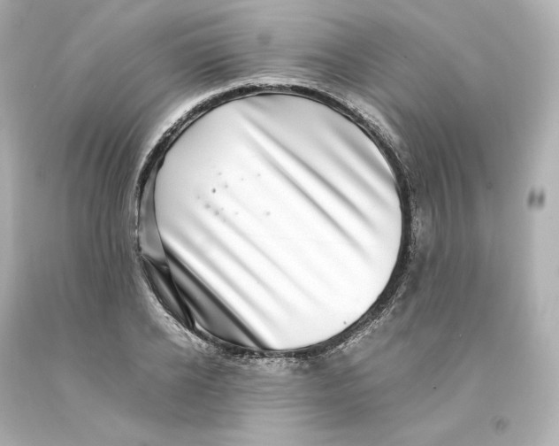 X0000093100934200710241218