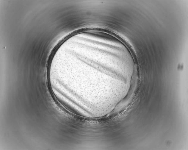 X0000093100935200710241218