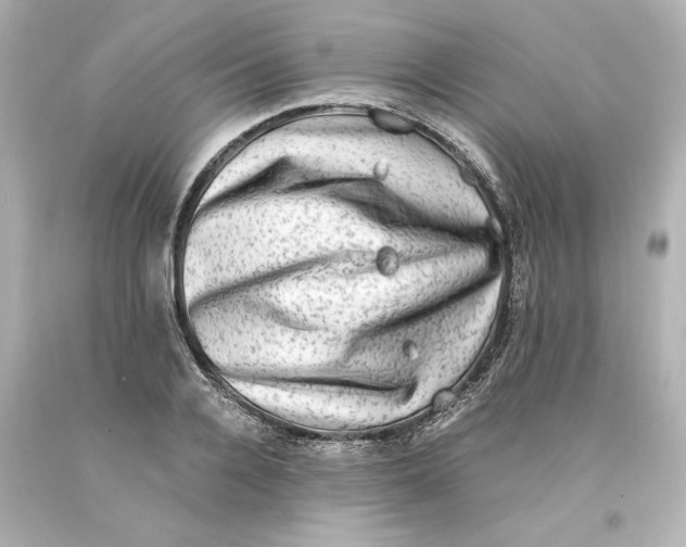 X0000093100936200710241218