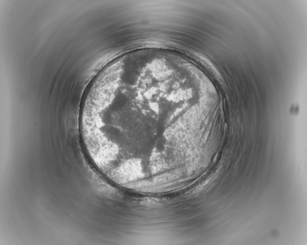 X0000093100938200710241218