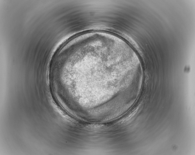 X0000093100939200710241218