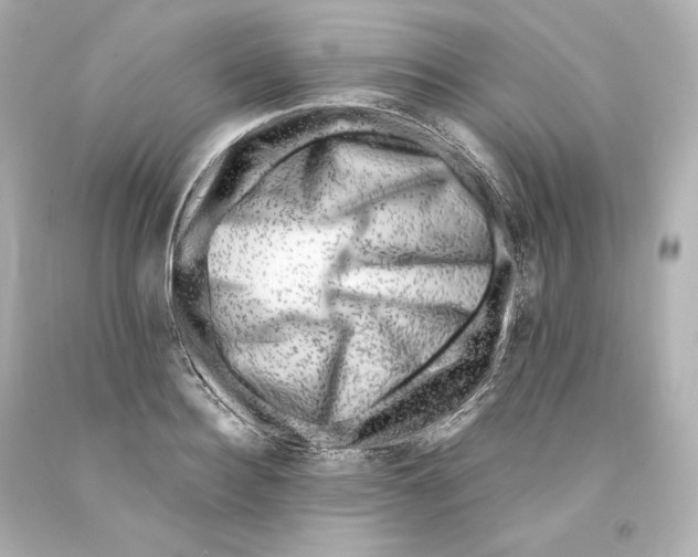 X0000093100940200710241218