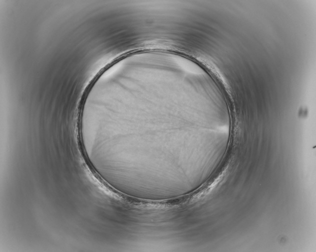 X0000093100941200710241218