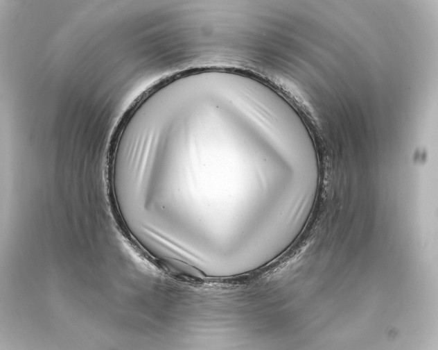 X0000093100942200710241218