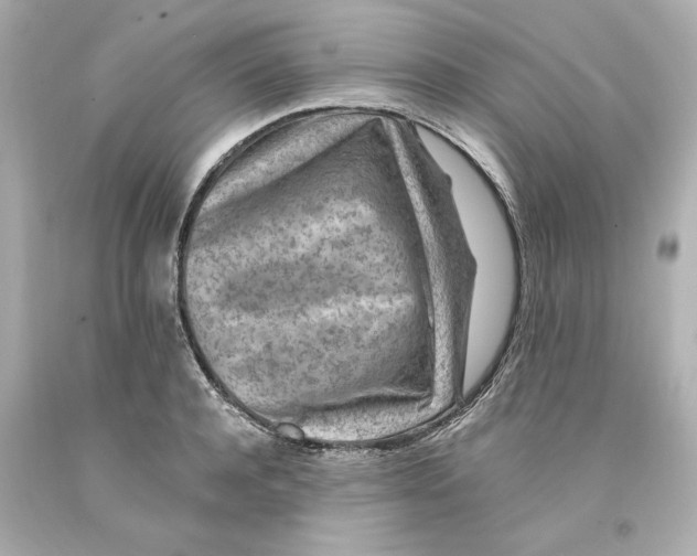 X0000093100944200710241218