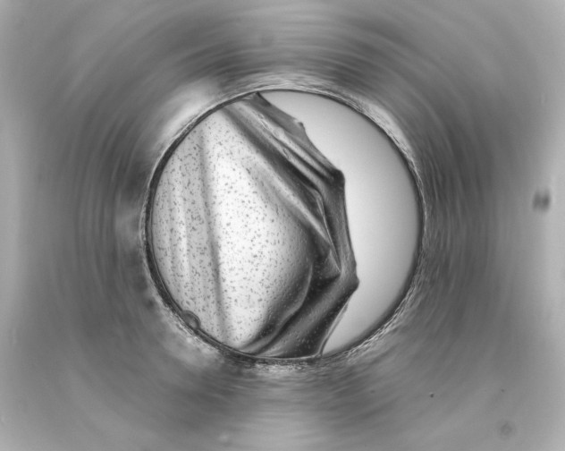 X0000093100946200710241218