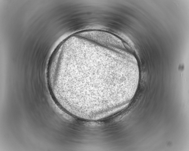 X0000093100947200710241218