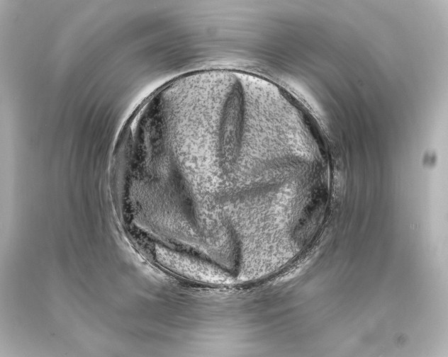 X0000093100948200710241218