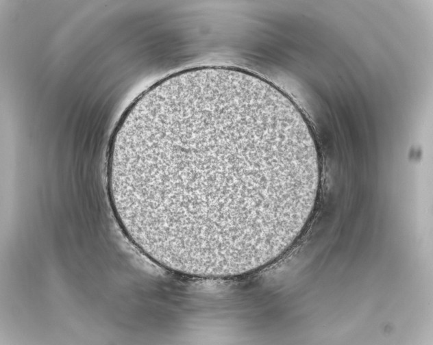 X0000093100950200710241218