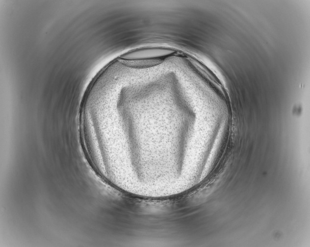 X0000093100951200710241218