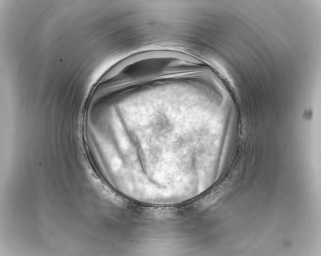 X0000093100952200710241218