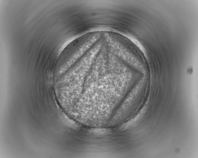 X0000093100953200710241218