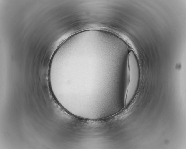 X0000093100954200710241218