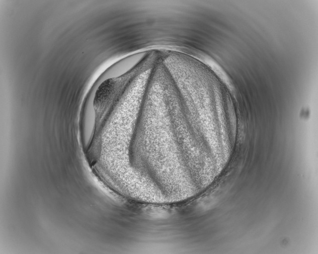 X0000093100955200710241218
