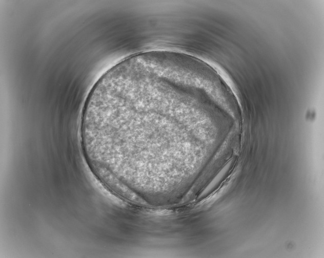 X0000093100957200710241218