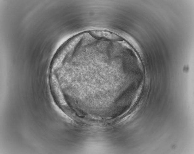 X0000093100958200710241218