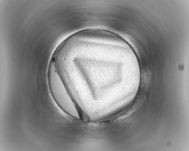 X0000093100959200710241218