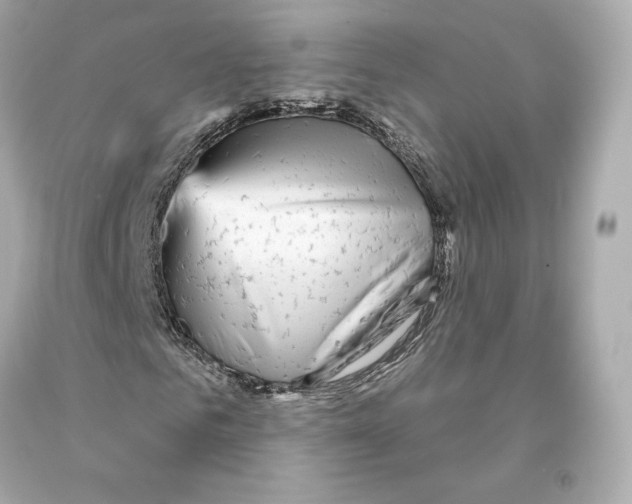 X0000093100961200710241218